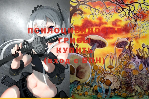 ECSTASY Верея