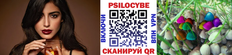 Купить  Воркута  Псилоцибиновые грибы Cubensis 